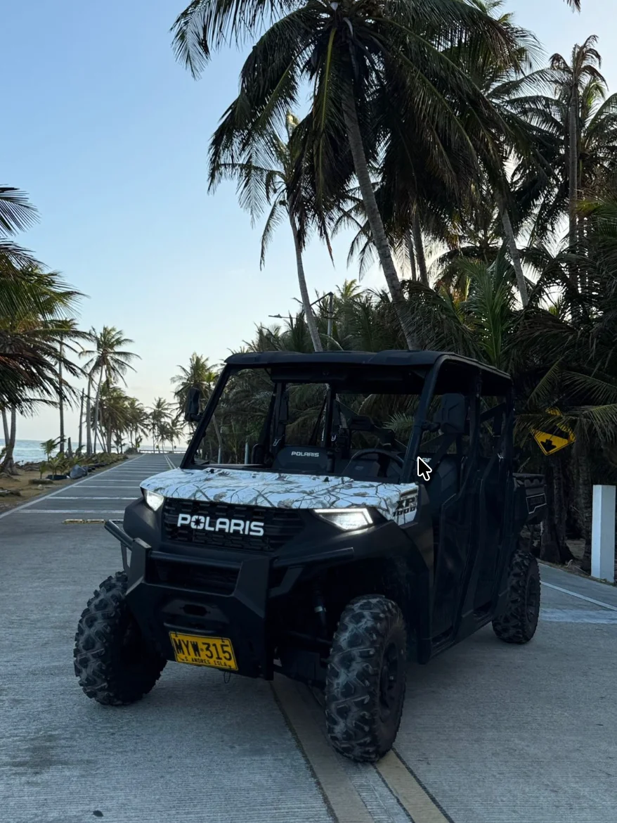 Mula Polaris 1000 con sonido 6 puestos