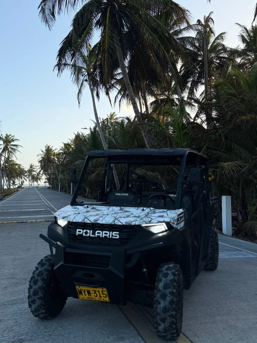 Mula Polaris 1000 con sonido 6 puestos