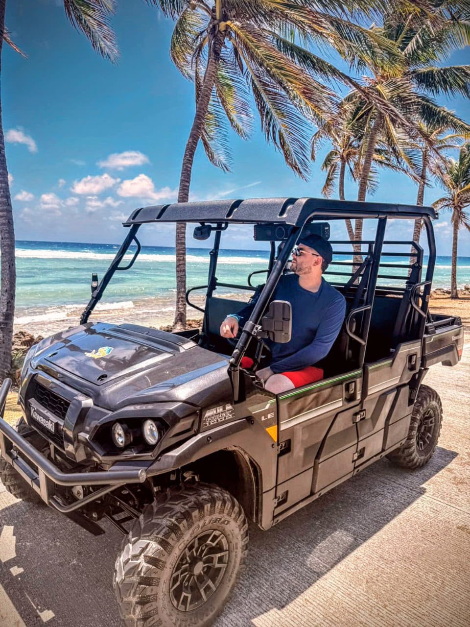 Mula Yamaha Viking 6 puestos