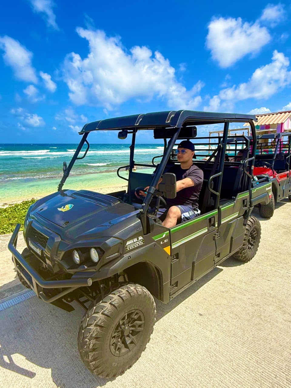 Mula Yamaha Viking 6 puestos