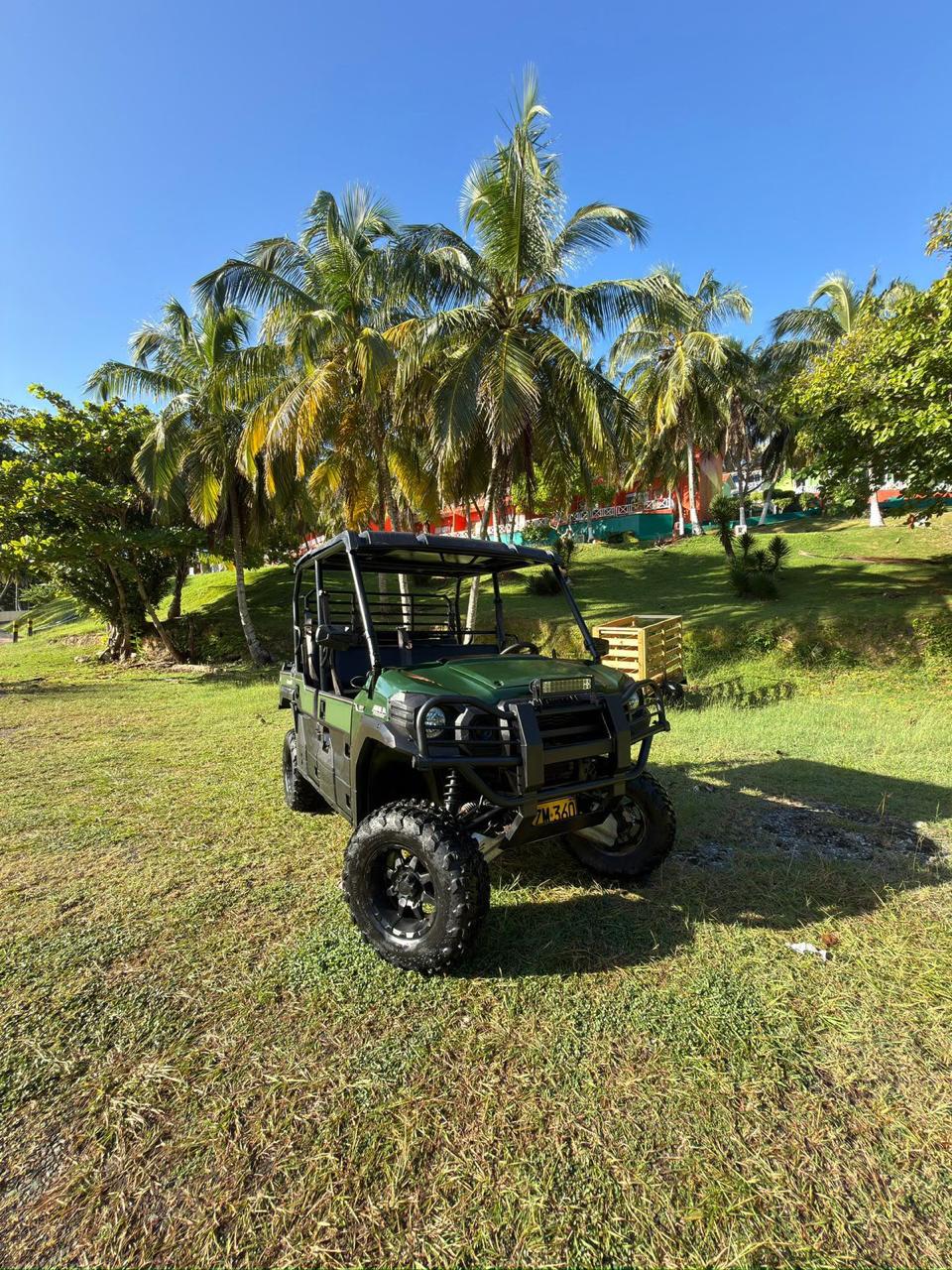 Yamaha Viking Buggy, 6 seats