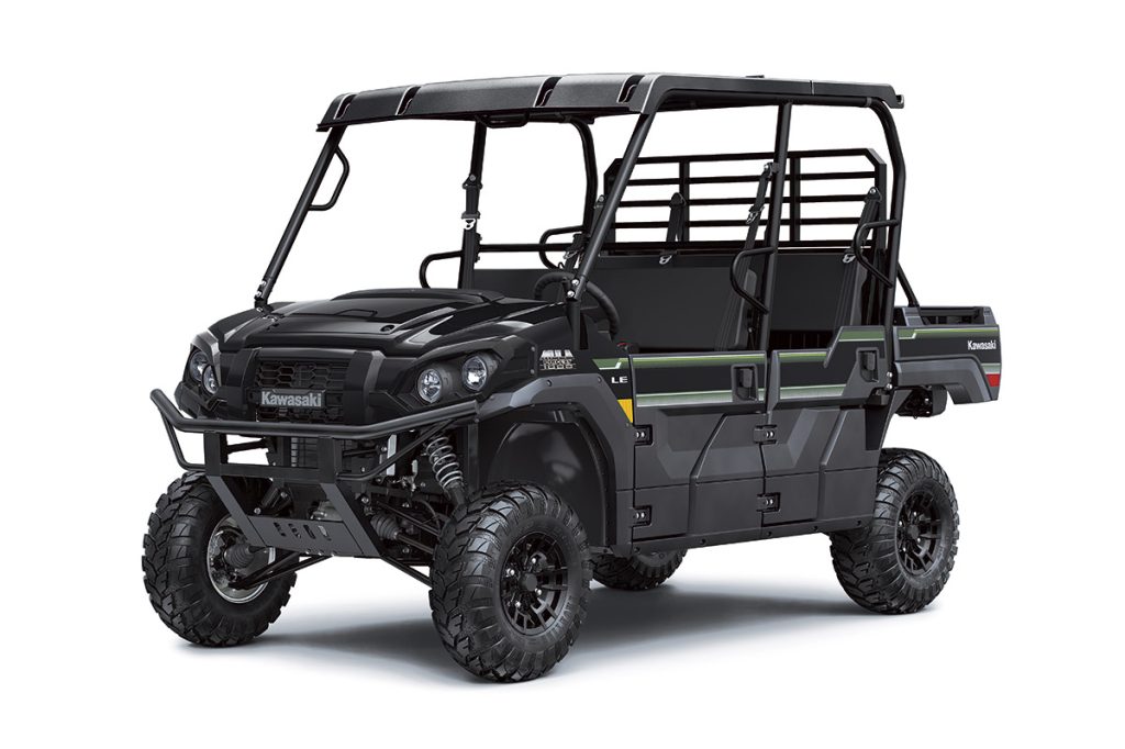 Mula Yamaha Viking para 6 personas