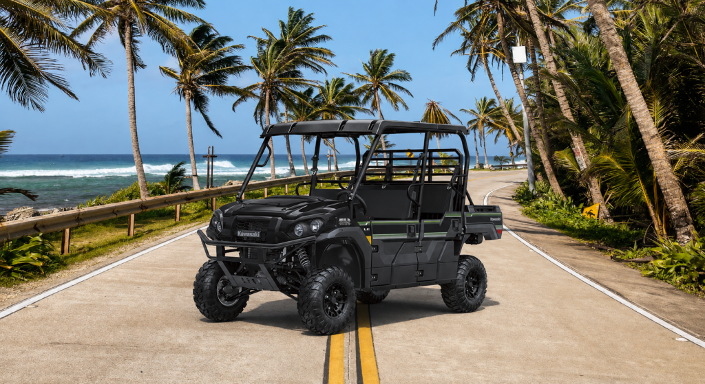 Mula Yamaha Viking para 6 personas