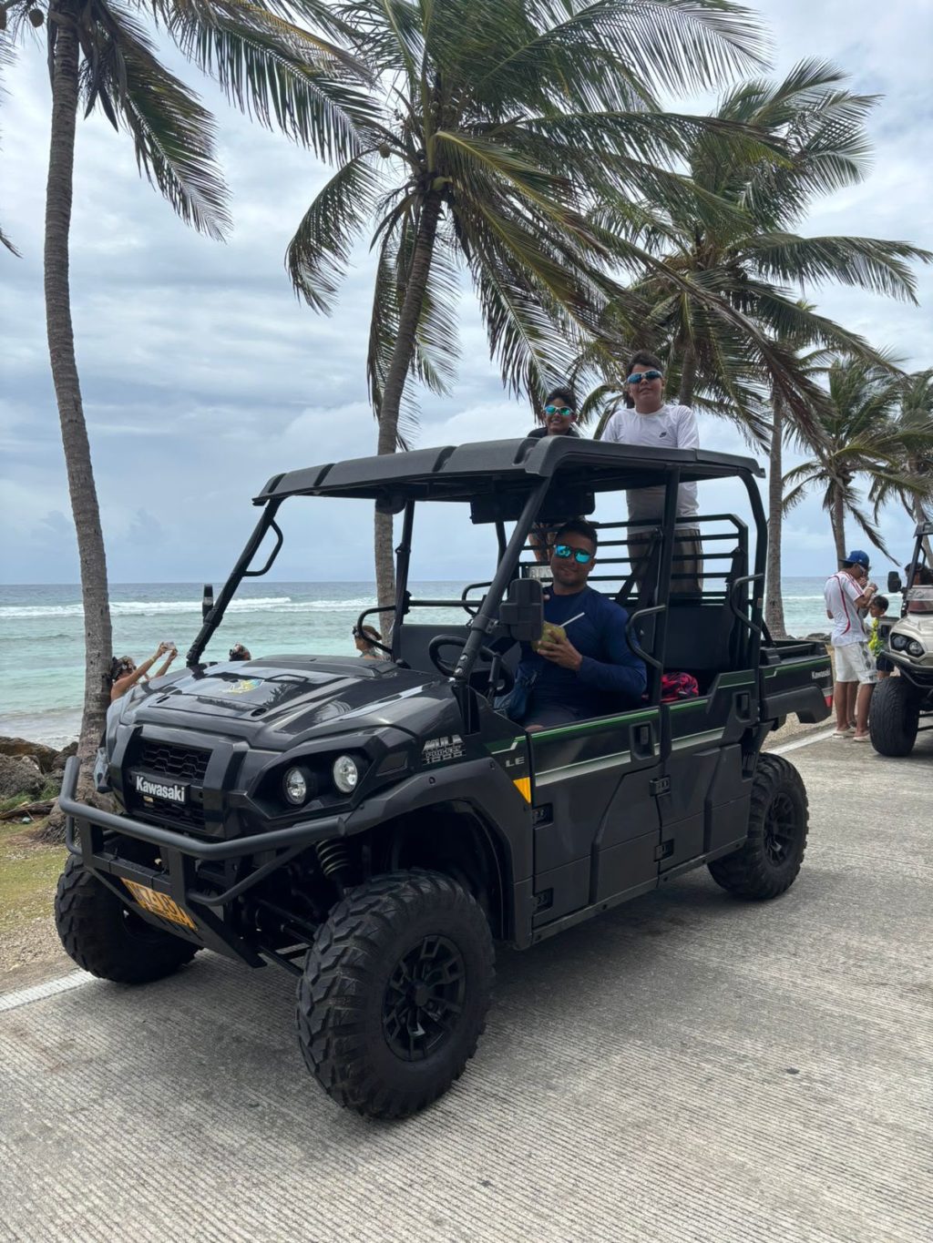 Mula Yamaha Viking 6 puestos