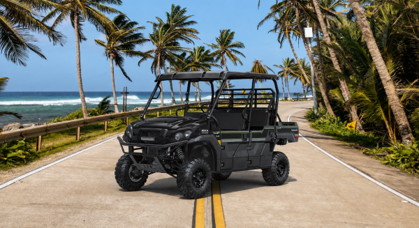 Mula Yamaha Viking 6 puestos