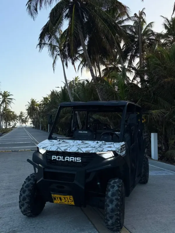 Mula Polaris 1000 con sonido 6 puestos